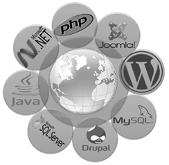 web development Jeddah